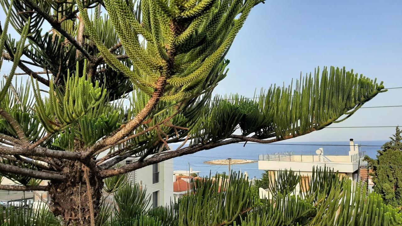 Seaside Kaki Thalassa Keratea Zewnętrze zdjęcie